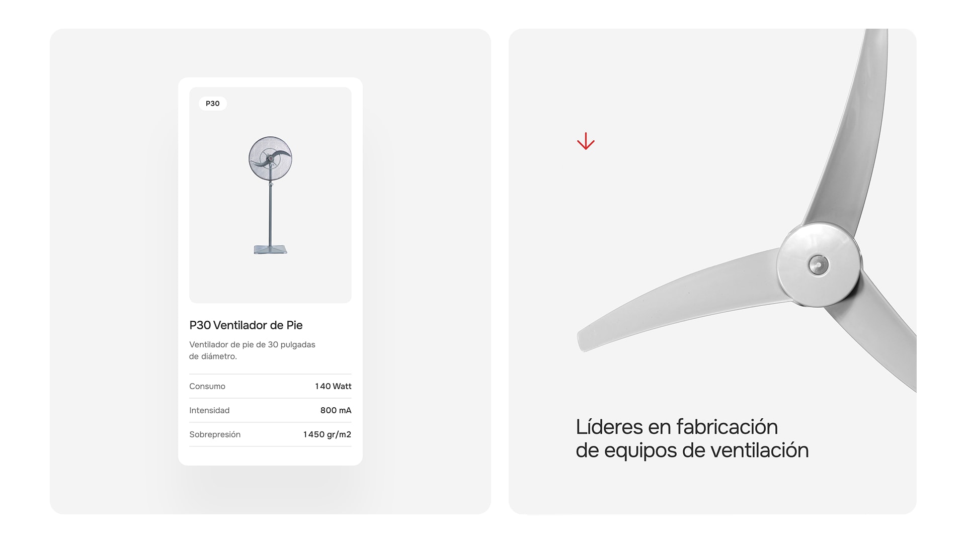 Díaz Patron — pieza 6
